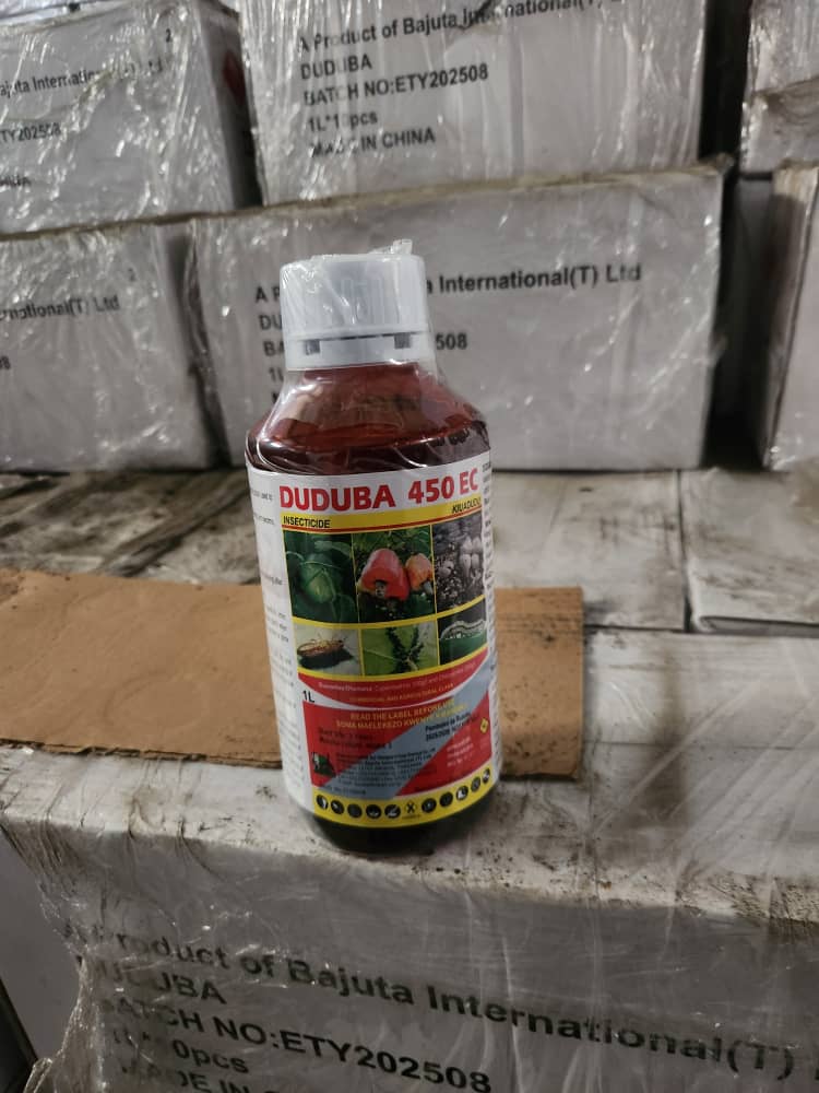 whatsapp image 2026 03 05 at 15.23.01