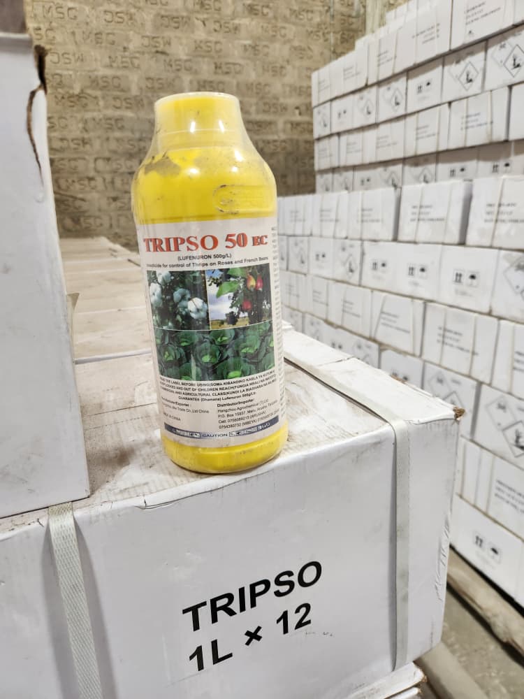 whatsapp image 2026 03 05 at 22.18.31