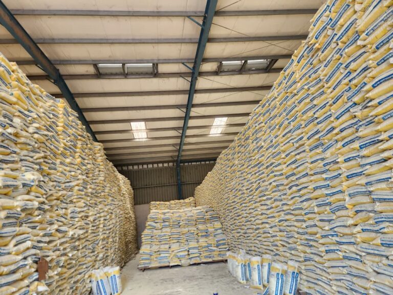 whatsapp image 2026 03 05 at 22.22.29