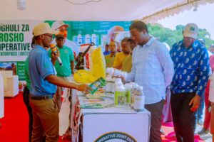 NAIBU WAZIRI WA KILIMO ATEMBELEA BANDA LA KCJE NGONGO LINDI